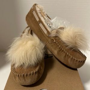 Ugg W Dakota Pom Pom In Chestnut Size 6- NIB
